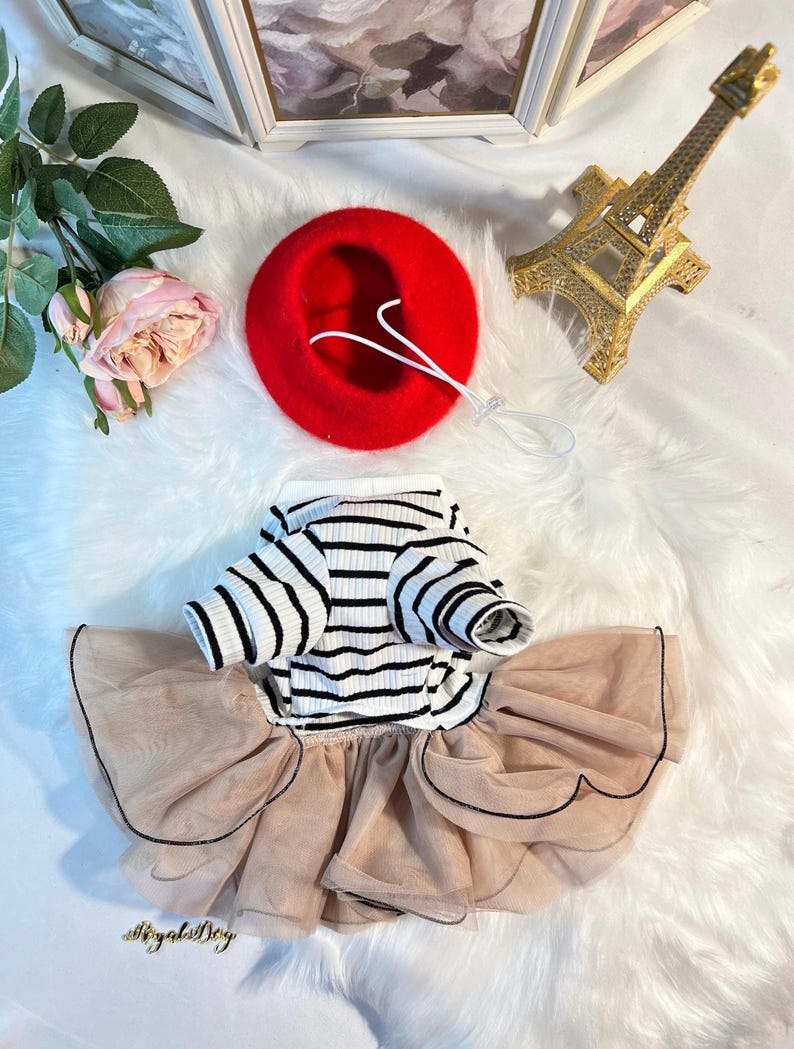 Parisian Chic: Bear Dress and Red Beret Set from Fashionable Paris Line, Dress for pets, small dog outfit, dog costume party, dog fashion