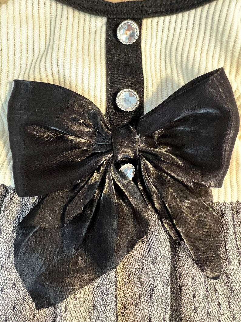 Chic Pet Outfit: Stylish Dress and Matching Necklace Included, dog clothes, cat dress, dog dress, pet clothing, pet jewelry, pet fashion