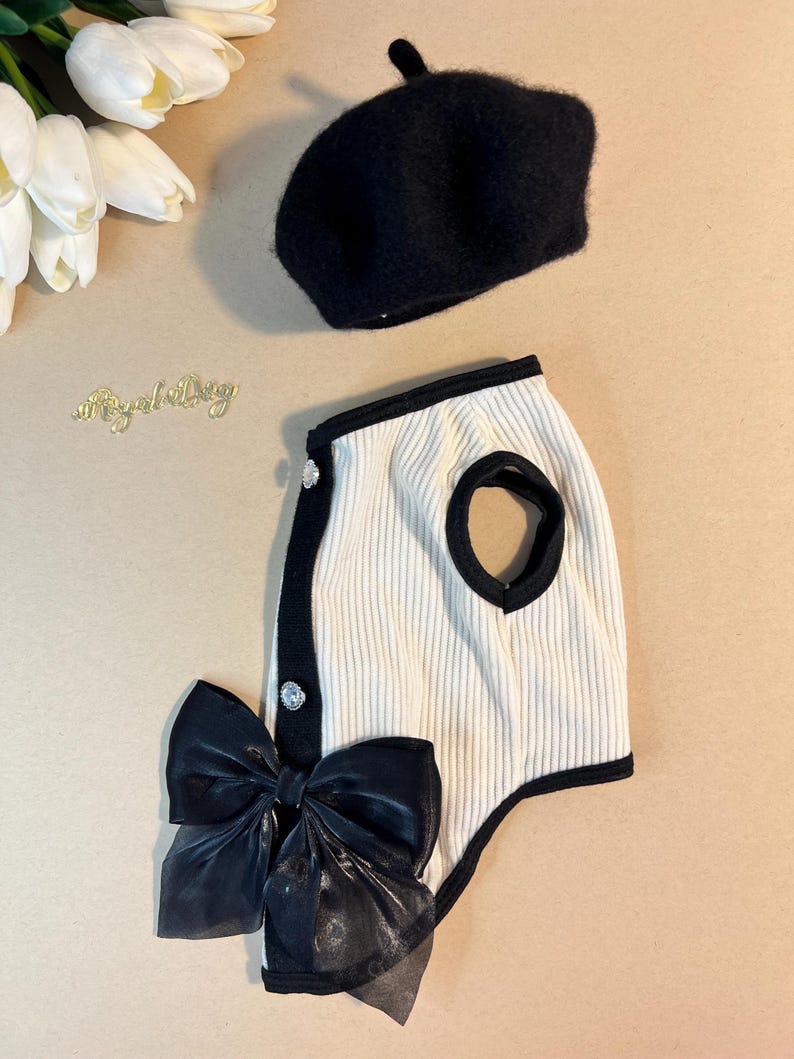 Luxury Pet Fashion: Stylish Dog Shirt and Beret Set - Chic Canine Ensemble for Posh Pup, dog clothes, dog dress, pet clothing, dog shirt