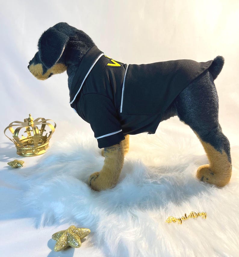 Luxury Dog Robe for Pet Wedding - Stylish VIP Attire for Small Dogs,small dog clothes, dog fashion, wedding dog clothes, royal dog, dog robe