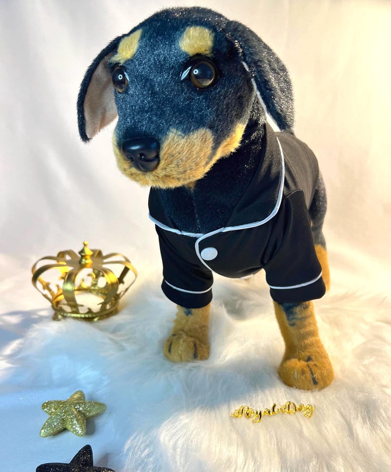 Luxury Dog Robe for Pet Wedding - Stylish VIP Attire for Small Dogs,small dog clothes, dog fashion, wedding dog clothes, royal dog, dog robe