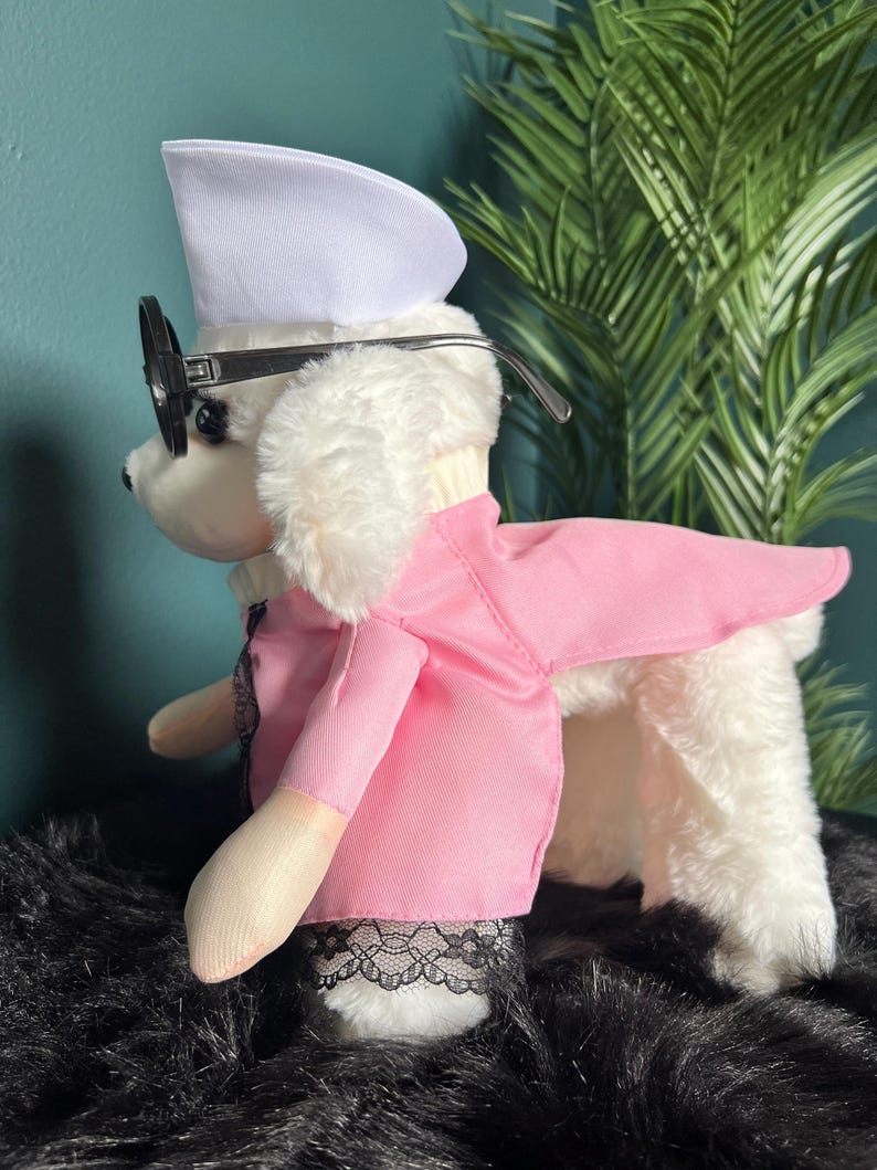 Adorable Dog doctor Halloween Costume with Stylish Glasses, pet costume, dog Halloween dress, dog Halloween costume, pet cosplay outfit