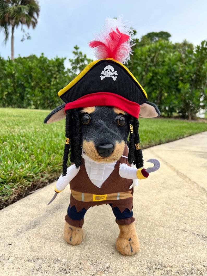 Dress up Your Pup as a Swashbuckling Pirate for Halloween Fun! pet costume, dog Halloween dress, dog Halloween costume, pirate dog costume