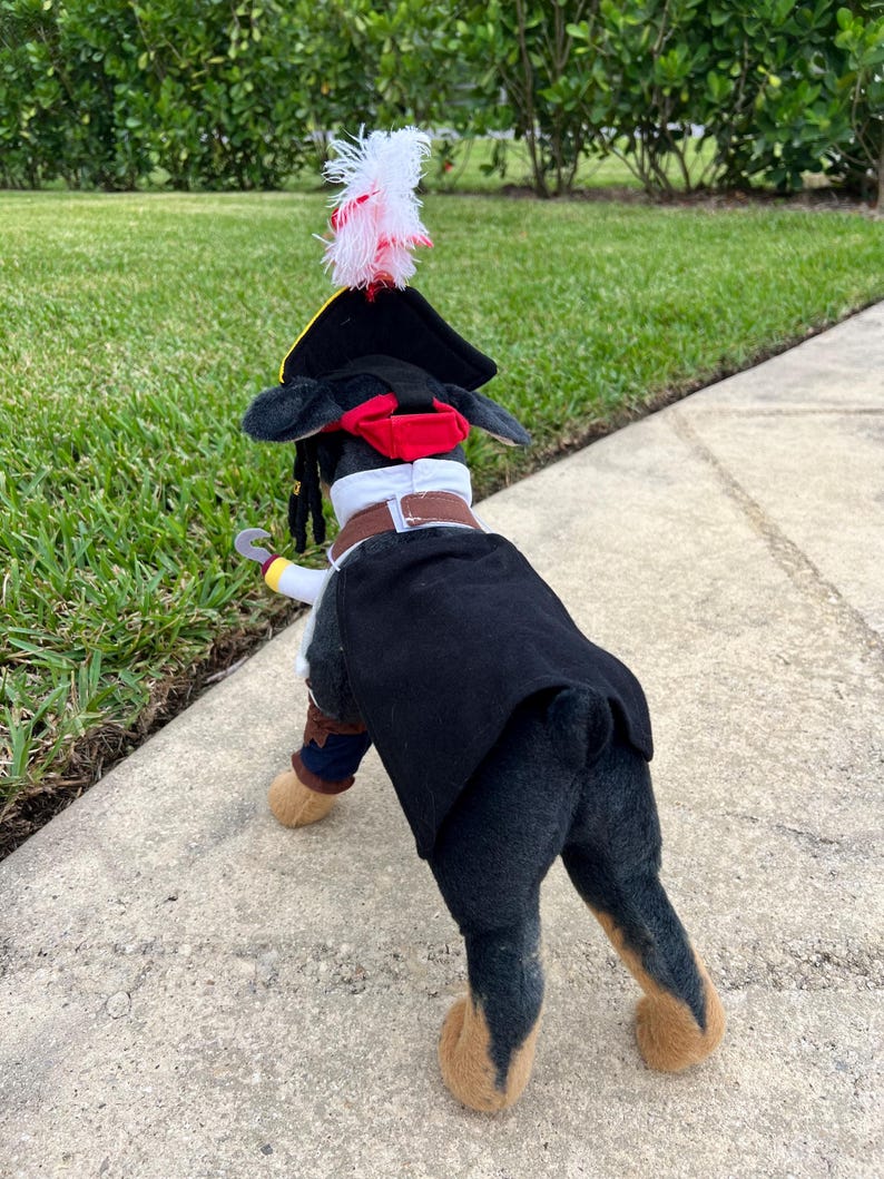 Dress up Your Pup as a Swashbuckling Pirate for Halloween Fun! pet costume, dog Halloween dress, dog Halloween costume, pirate dog costume