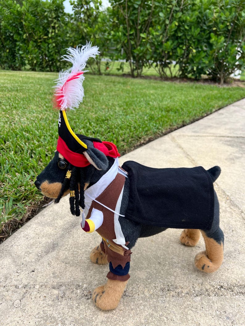Pirate Paw-ty Time: Halloween Costume for Pets that's Yo-Ho-Whole lot of Fun,pet costume, dog Halloween dress, dog Halloween costume, pirate