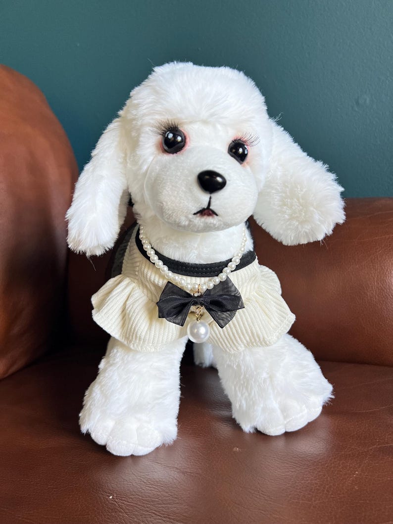 Chic Pet Ensemble: Dress, Necklace, Cat Dress, Dog Clothes, Designer Pet Fashion, dog clothes, cat dress, dog dress, pet clothing, pet dress