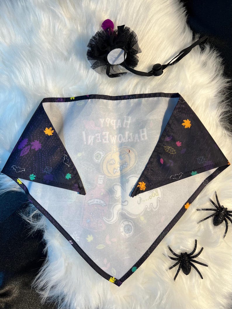 Spooky Pet Accessories Set, magic had, pet had for cats and small dogs, pumpkin elegant Halloween pet head, custom pet gift, bandanna dog