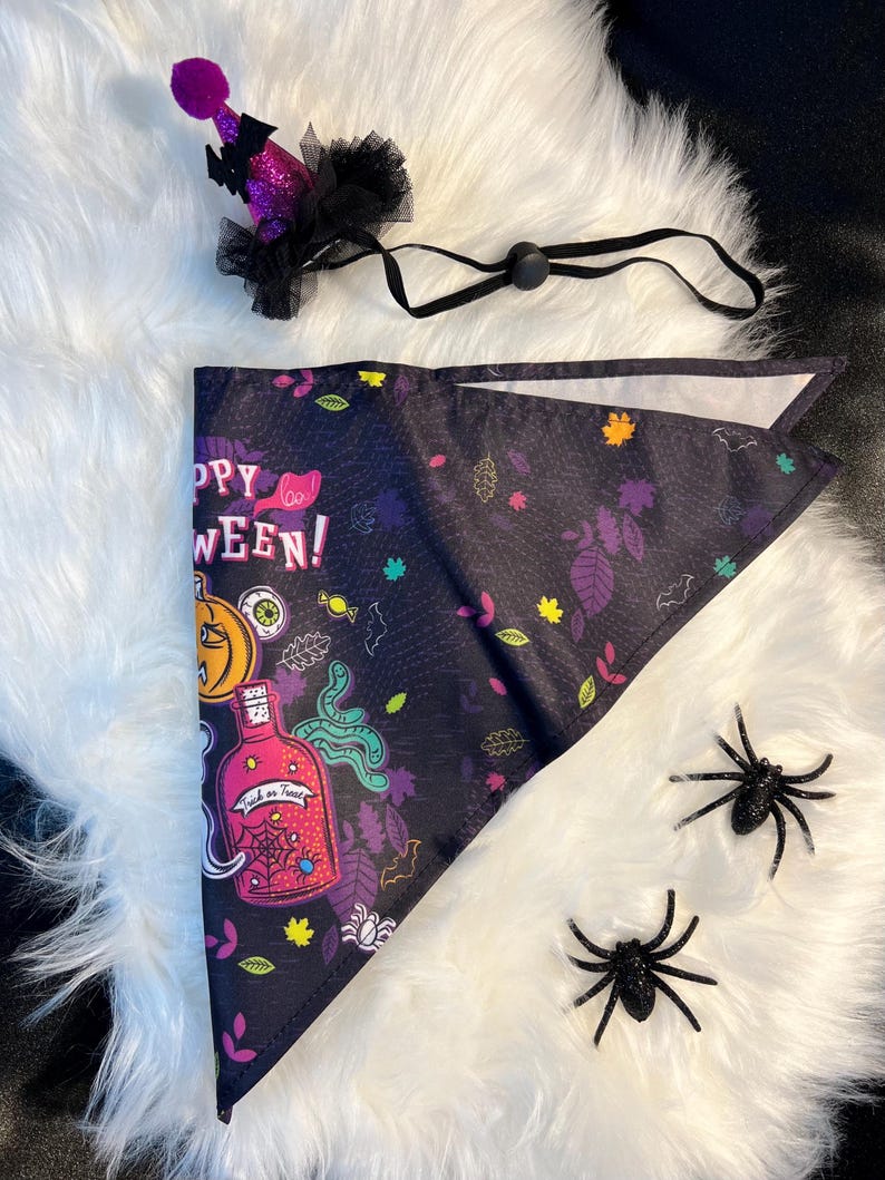 Spooky Pet Accessories Set, magic had, pet had for cats and small dogs, pumpkin elegant Halloween pet head, custom pet gift, bandanna dog
