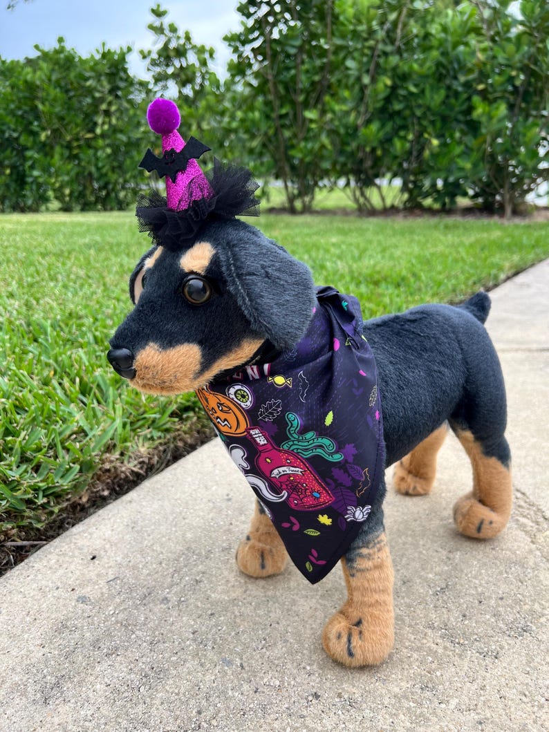 Trick-or-Treat Pet Costume Pair, magic had, pet had for cats and small dogs, pumpkin elegant Halloween pet head, custom pet gift, bandanna