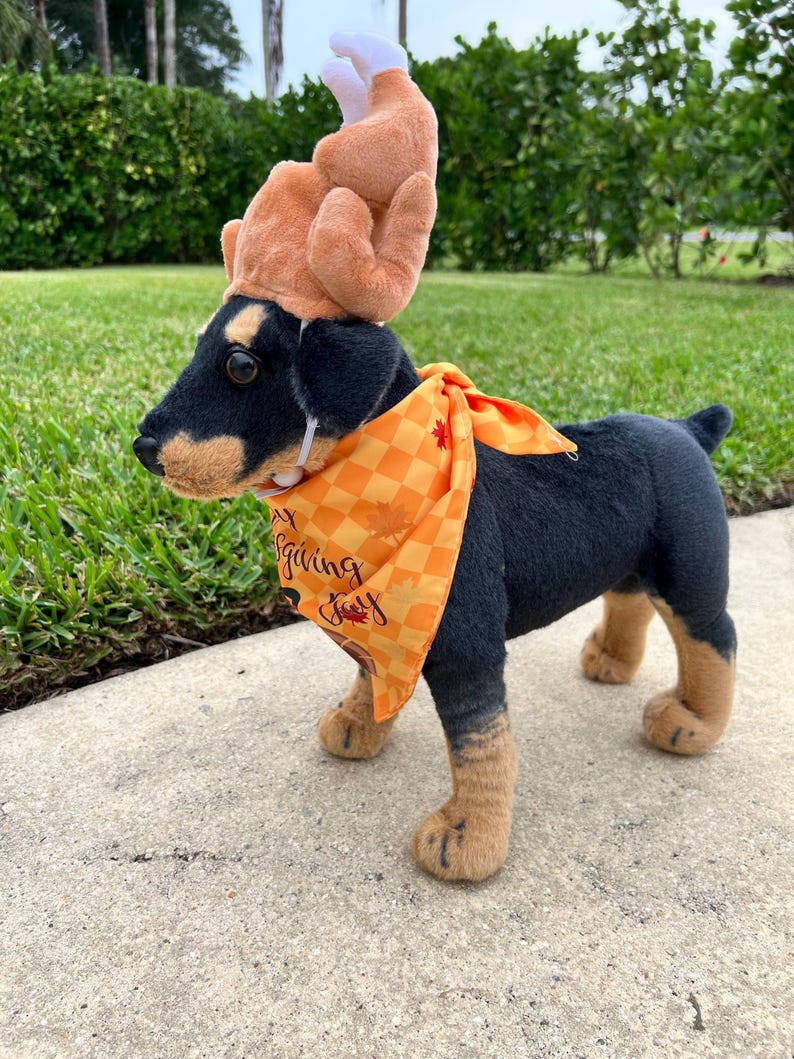 Turkey Hat and Bandana Set - Thanksgiving Pet Outfit, thanksgiving turkey dog hat, American holiday Dog hat, bandanna for Dog, cat hat