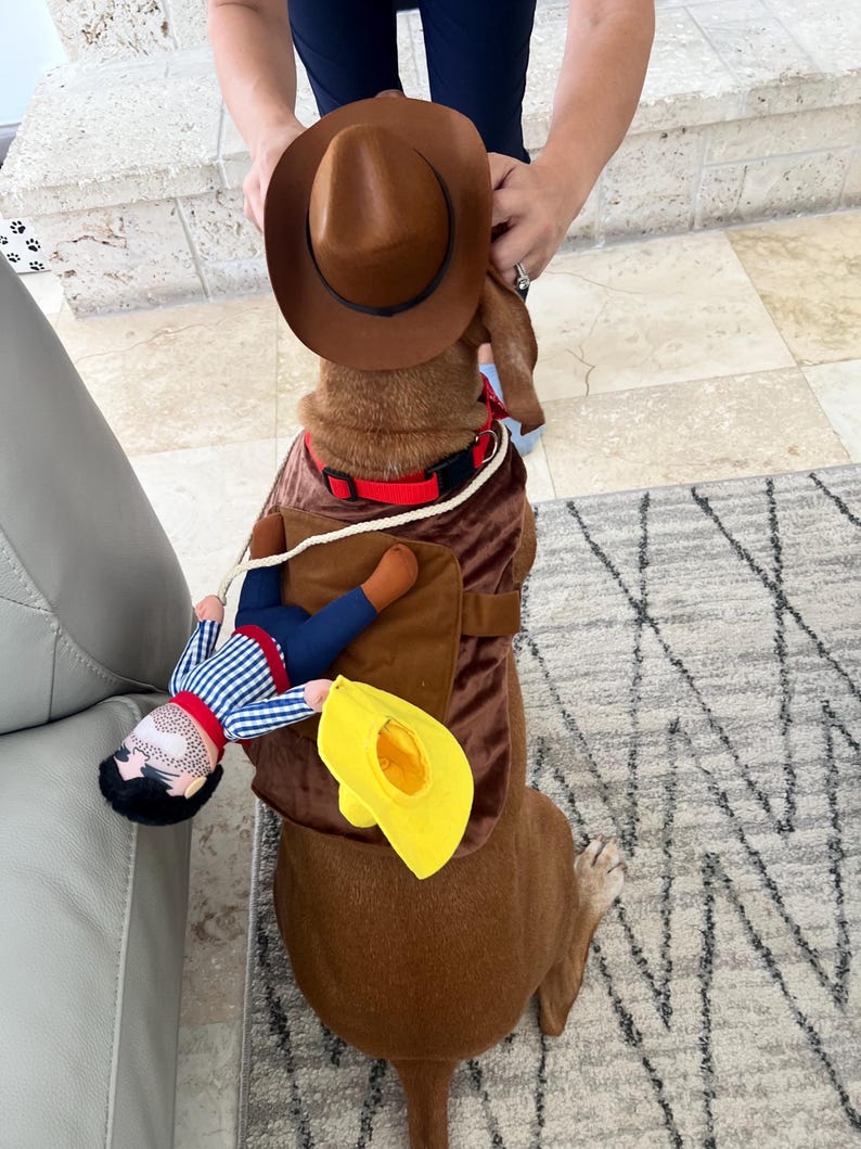 Western Dog Outfit - Cute Cowboy Costume, dog costume, cowboy dog costume, pat costume, dog outfit, western pad attire, Dog costume set