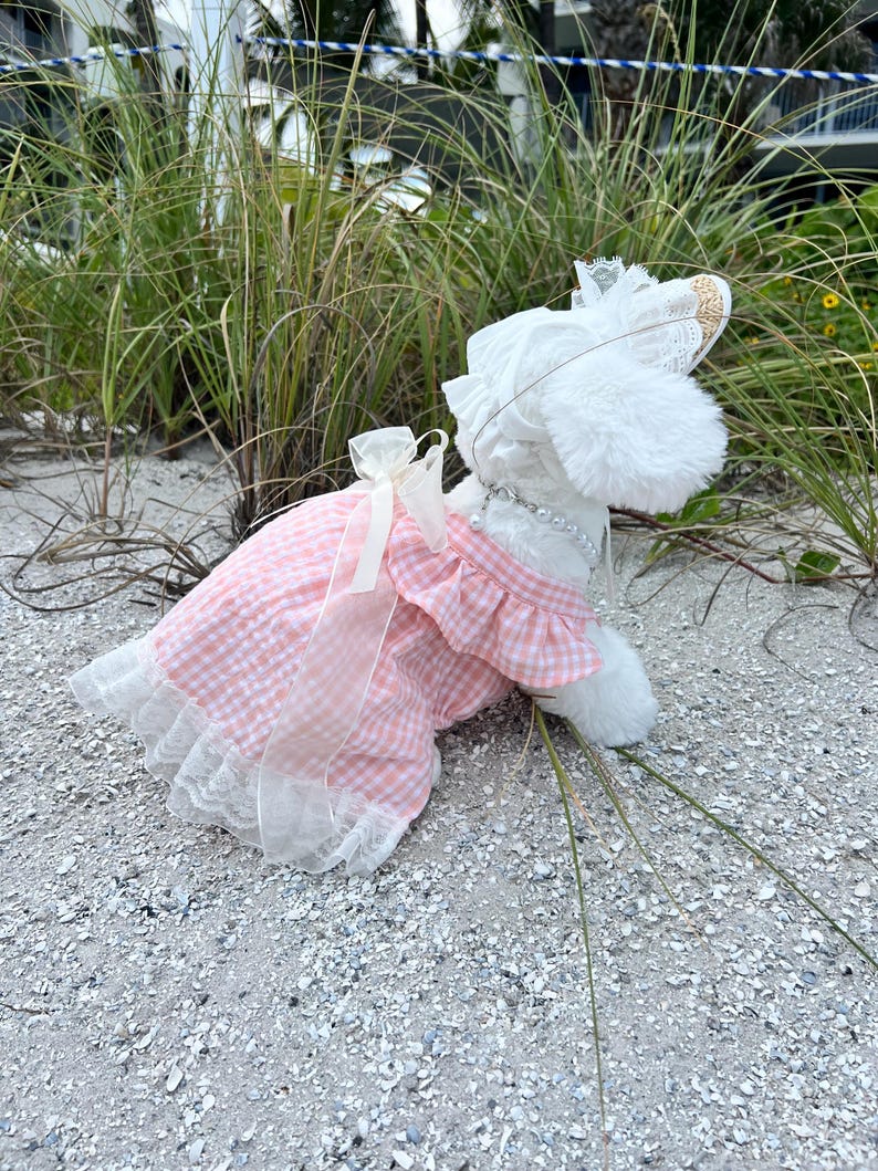 Chic Pink Outfit Set: Sundress, Lace Panama Hat, & Statement Necklace, Elegant and Chic Dog Clothes for Weddings, tutu Dog dress, Summer dog