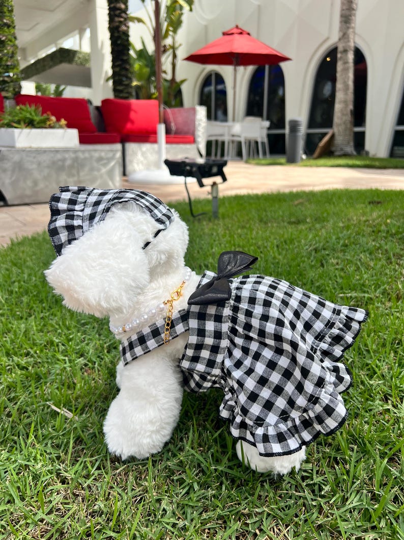 Adorable Pet Summer Attire - Dog Sun Dress Set, dress for pets, small dog outfit, dog costume party, Dog fashion, Dog dress, fancy dog dress