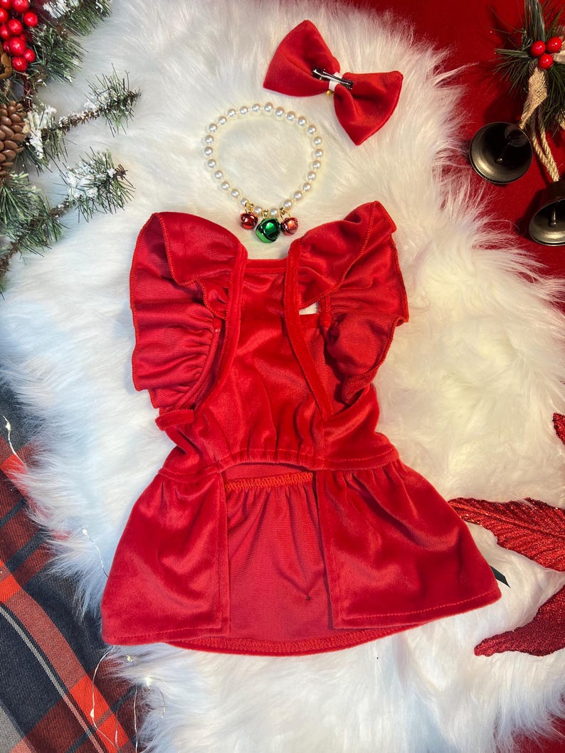 Festive Red Pet Dress with Matching Necklace and Bow Set, dress for pets, small dog outfit, Dog fashion, dog Clothes, red dog dress