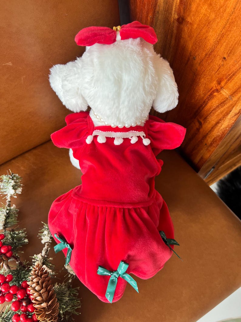 Christmas Pet Outfit: Red Dress, Necklace, and Bow Combo, dress for pets, small dog outfit, Dog fashion, dog Clothes, Christmas pet dress