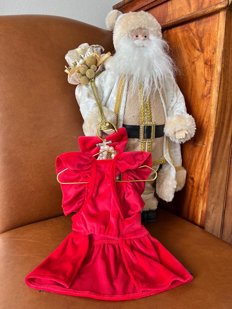 Deck the Paws: Red Holiday Dress, Necklace, and Bow for Pets, dress for pets, small dog outfit, Dog fashion, dog Clothes, Christmas pet
