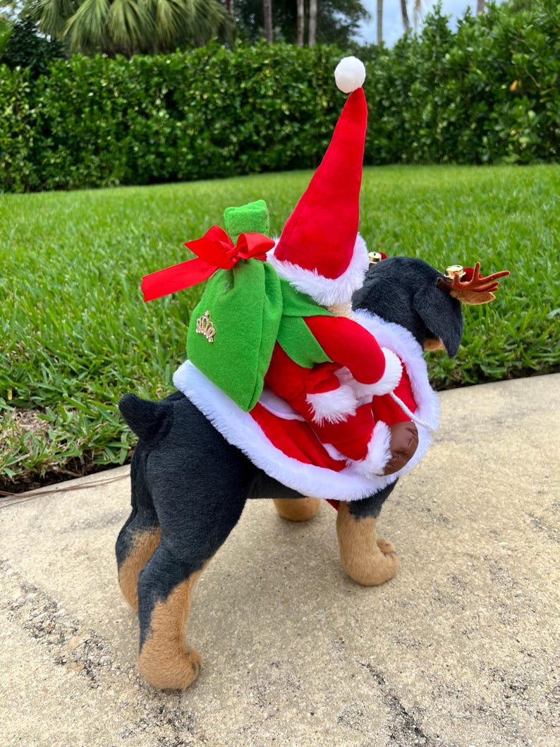 Cheerful Holiday Pet Costume: Santa Claus Cape & Reindeer Horns, Dress for pets, small dog clothes, Christmas dress for dog, Christmas dog