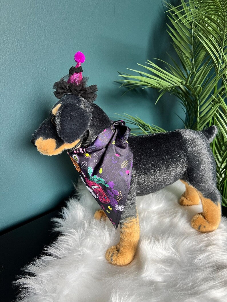 Spooky Pet Accessories Set, magic had, pet had for cats and small dogs, pumpkin elegant Halloween pet head, custom pet gift, bandanna dog