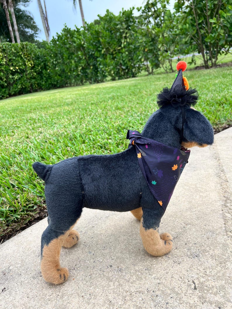 Trick-or-Treat Pet Costume Pair, magic had, pet had for cats and small dogs, pumpkin elegant Halloween pet head, custom pet gift, bandanna