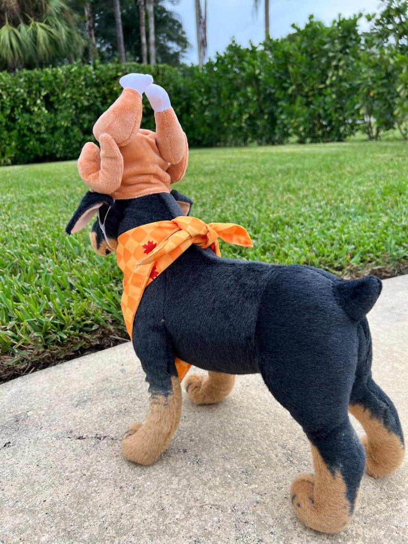 Turkey Hat and Bandana Set - Thanksgiving Pet Outfit, thanksgiving turkey dog hat, American holiday Dog hat, bandanna for Dog, cat hat