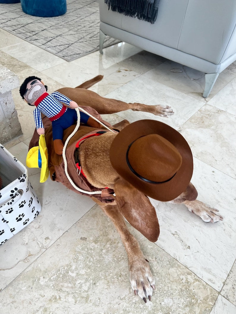 Western Dog Outfit - Cute Cowboy Costume, dog costume, cowboy dog costume, pat costume, dog outfit, western pad attire, Dog costume set