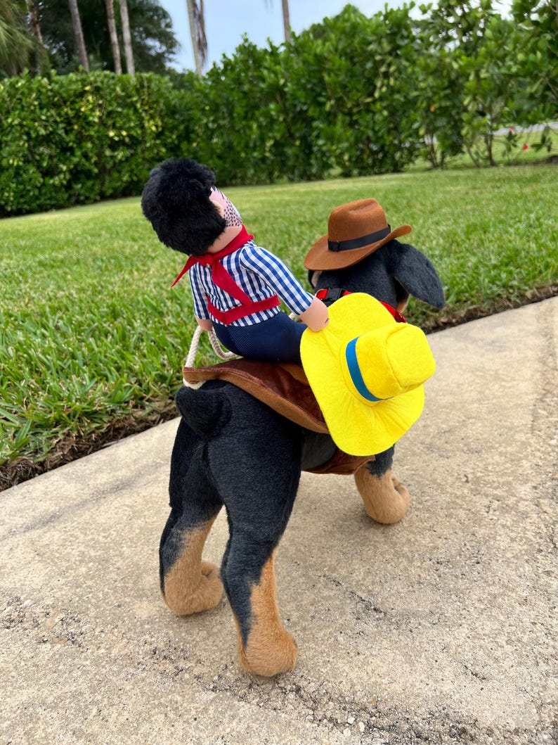Western Dog Outfit - Cute Cowboy Costume, dog costume, cowboy dog costume, pat costume, dog outfit, western pad attire, Dog costume set