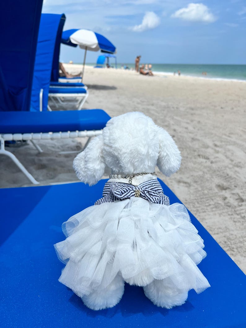 Adorable Dog Summer Ensemble, Elegant and Chic Dog Clothes for Weddings and Summer Events, elegant Dog dress, summer dog dresses