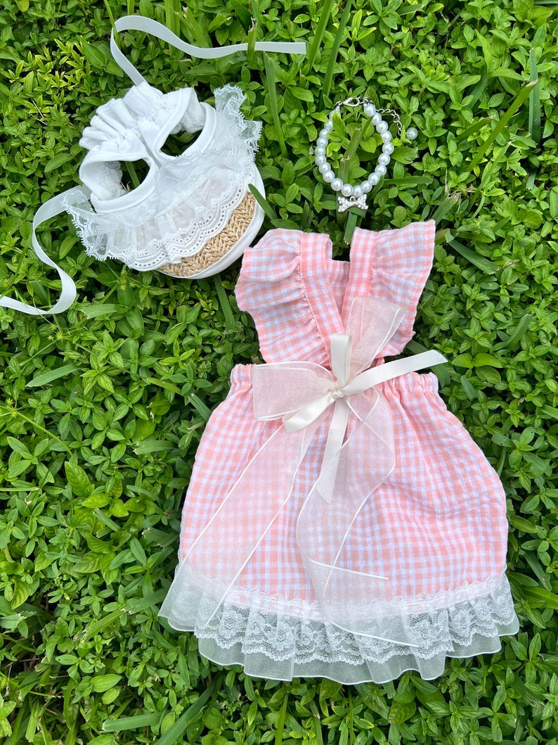 Elegant Pink Dog Dress with Lace & Hat – Summer Wedding Outfit for Small Dogs | Teacup, Yorkie, Poodle, Chihuahua Party Clothes