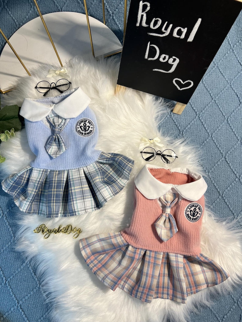Chic blue Schoolgirl Dress & Glasses for Dogs | Unique Pet Costumet, Dress for pets, small dog clothes, dog fashion, Cute dog costume