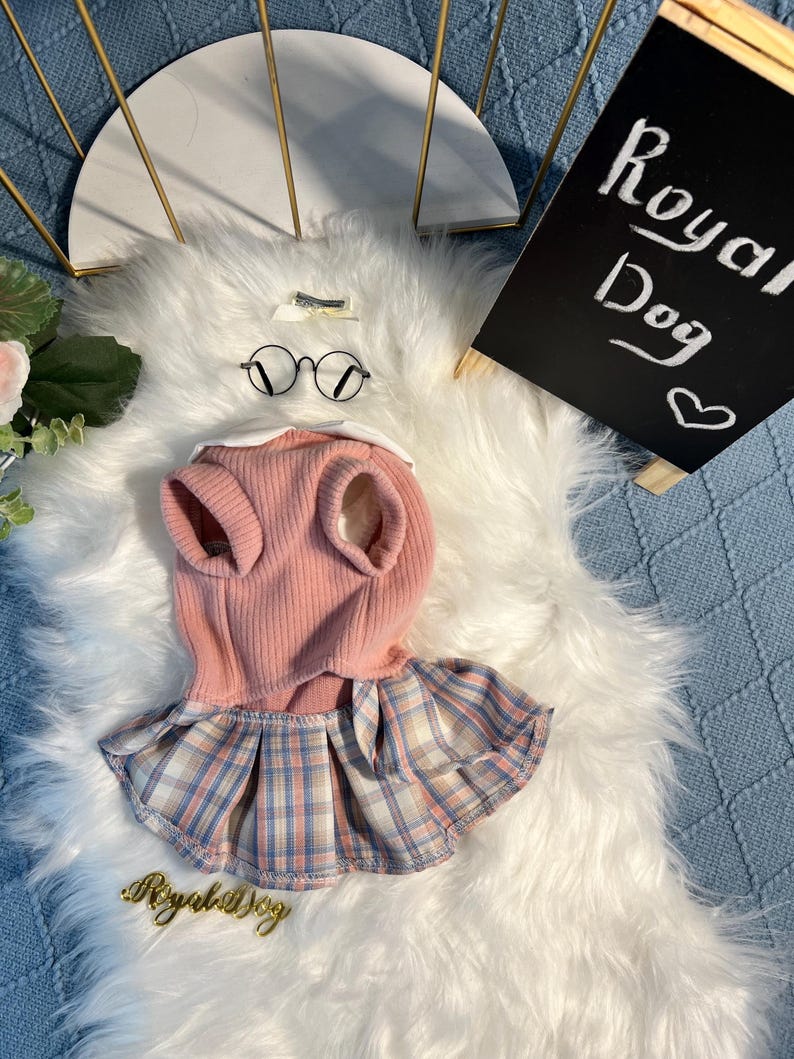 Adorable Pink Dog Dress & Glasses Set – Cute Schoolgirl Outfit for Small Dogs, Yorkie Clothes, Chihuahua Dress, Toy Poodle Clothing