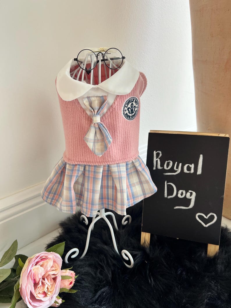 Small Dog Dress in Pink - Schoolgirl Look with Cute Glasses for Pets, small dog clothes, dog fashion, Cute dog costume, cat dress, fashion