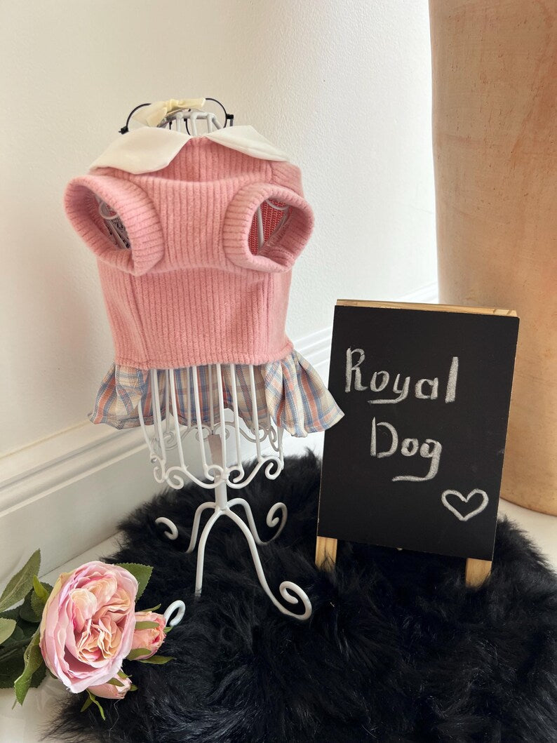 Small Dog Dress in Pink - Schoolgirl Look with Cute Glasses for Pets, small dog clothes, dog fashion, Cute dog costume, cat dress, fashion
