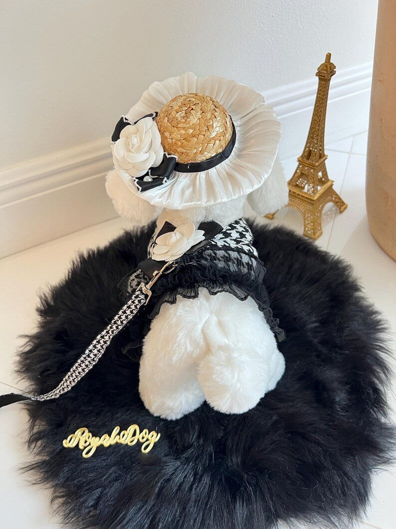 Luxury Dog Harness Combo with Fancy Hat & Eyewear - Posh Pet Outfit, dog cape, small dog outfit, dog costume party, small dog harness