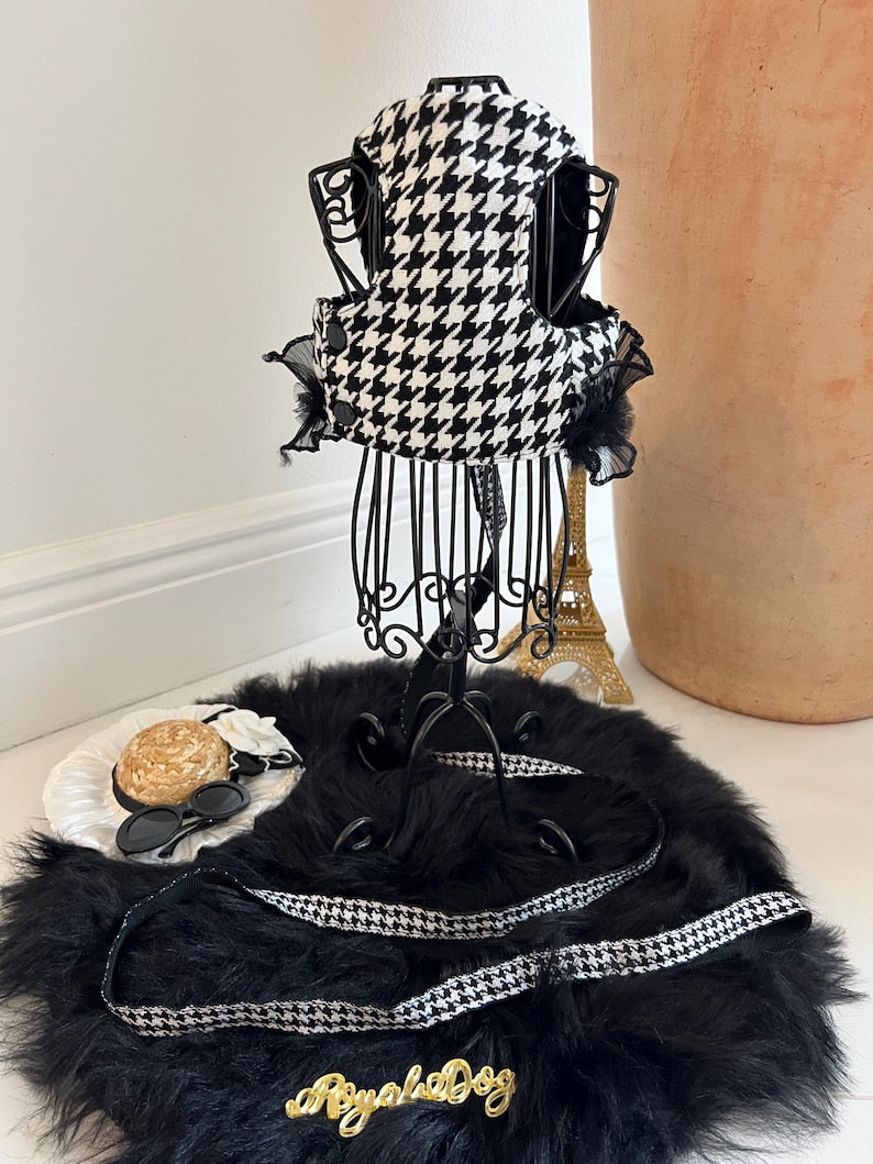 Trendy Dog Walking Gear - Sleek Harness, Hat and Glasses Set - Pet Glam, dog cape, small dog outfit, dog costume party, small dog harness