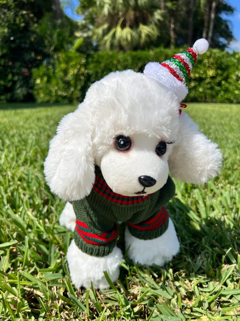 Seasonal Canine Knitwear and Petite Accessory, Dress for pets, small dog clothes, Christmas dress for dog, Christmas dog sweater, dog hoody
