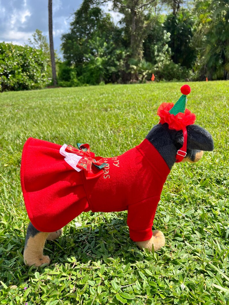 Cute Christmas Ensemble for Dogs: Dress and Matching Hat, Dress for pets, small dog clothes, Christmas dress for dog, Christmas dog outfit