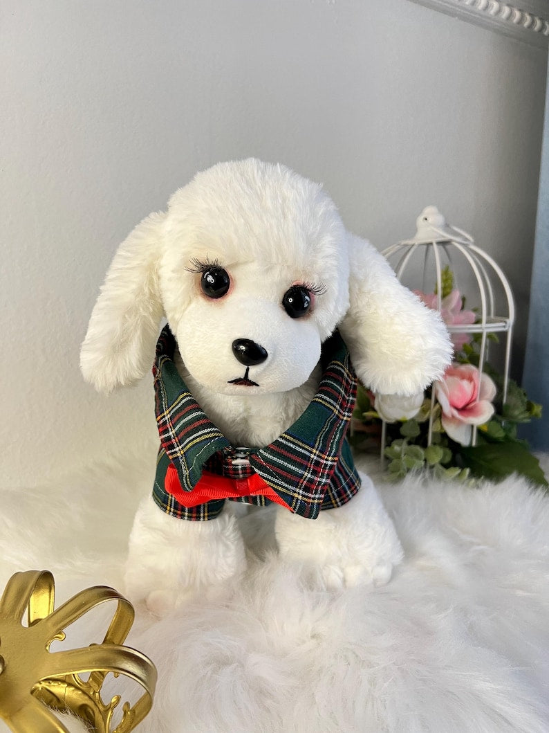 Pet Attire: Green Plaid Crowned Shirt for Pooches, shirt for pets, small dog outfit, Dog fashion, dog Clothes, Green dog shirt, dog pajamas