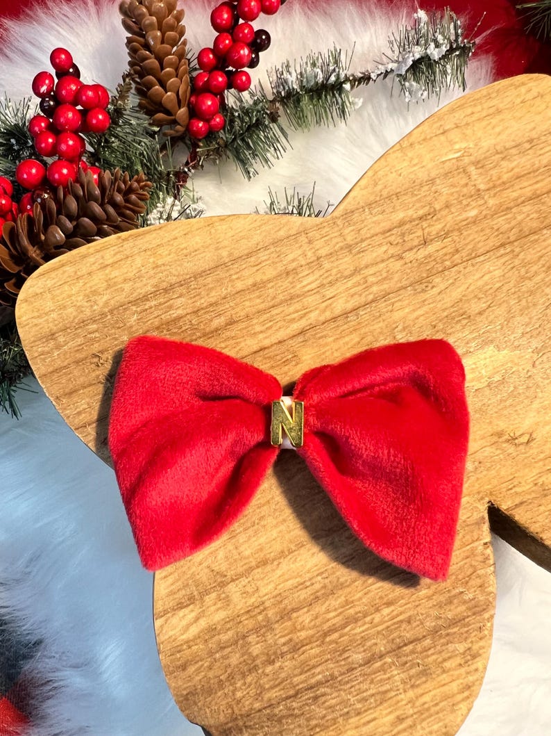 Festive Red Pet Dress with Matching Necklace and Bow Set, dress for pets, small dog outfit, Dog fashion, dog Clothes, red dog dress