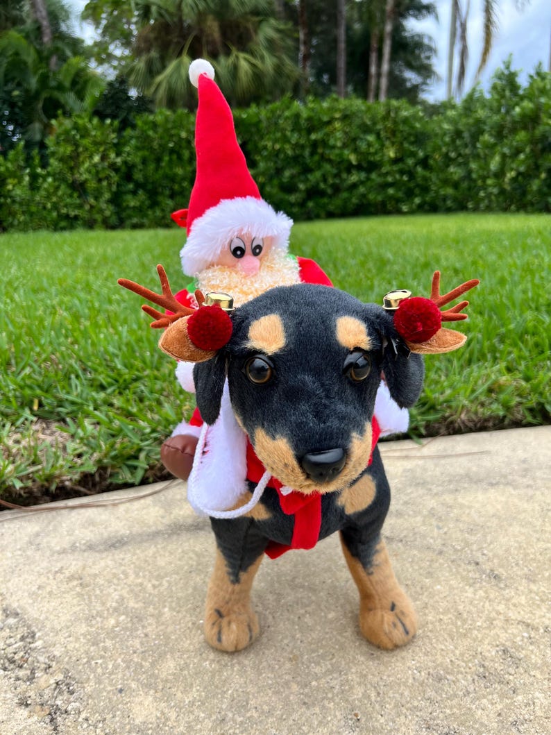 Cheerful Holiday Pet Costume: Santa Claus Cape & Reindeer Horns, Dress for pets, small dog clothes, Christmas dress for dog, Christmas dog