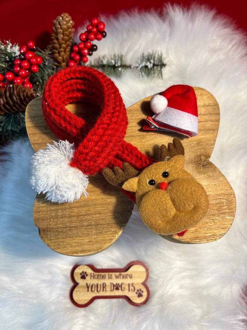 Festive Holiday Pet Scarf - Perfect for Christmas! Clip-On Hat Included, Santa Claus dog collar, Dog Christmas presents, Christmas dog cat