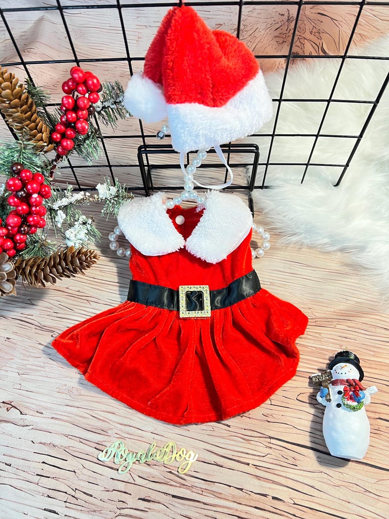 Adorable Santa Hat Dog Dress - Perfect for Holiday Photos! Dress for pets, Christmas dress for dog, Christmas dog outfit, cute dog costume