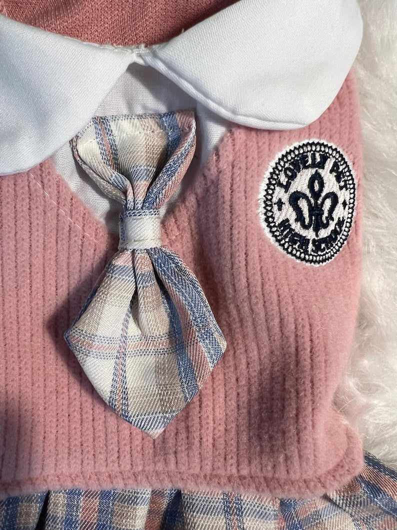 Small Dog Dress in Pink - Schoolgirl Look with Cute Glasses for Pets, small dog clothes, dog fashion, Cute dog costume, cat dress, fashion