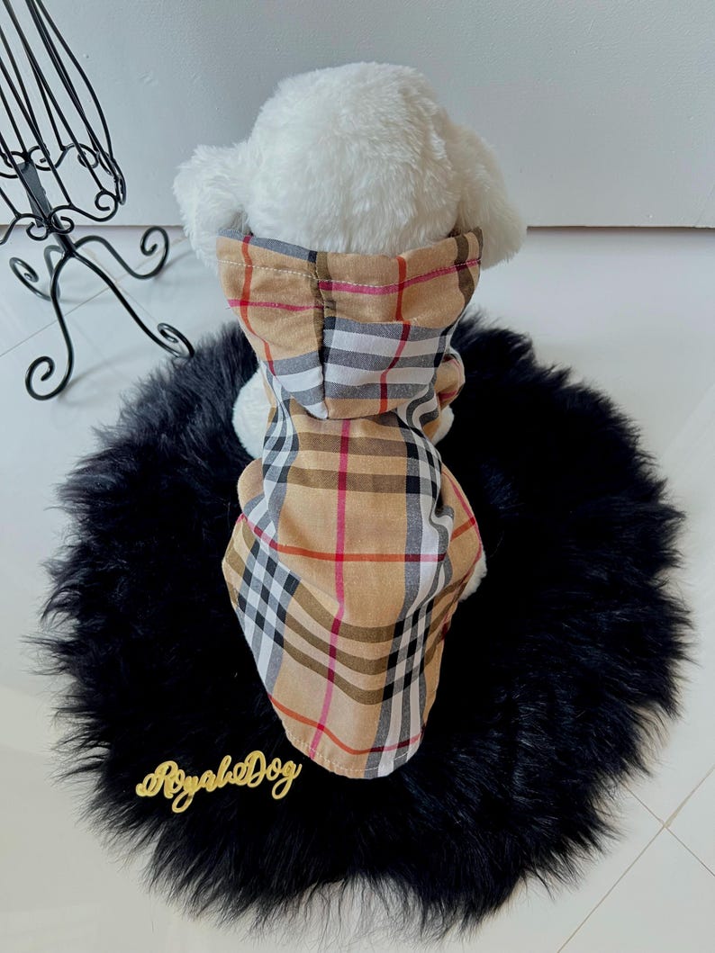 Trendy Canine Hooded Coat & Glasses in Beige - Fashion Forward Dog Apparel, classic dog trench coat, cat coat dog fashion wear, puppy outfit