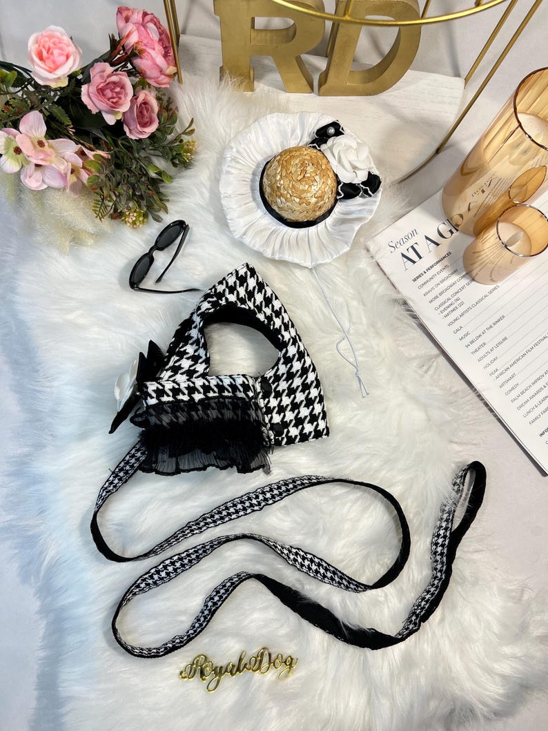 Chic Pet Harness Set with Stylish Hat & Glasses - Dog Fashion Accessories, dog cape, small dog outfit, dog costume party, Dog fashion