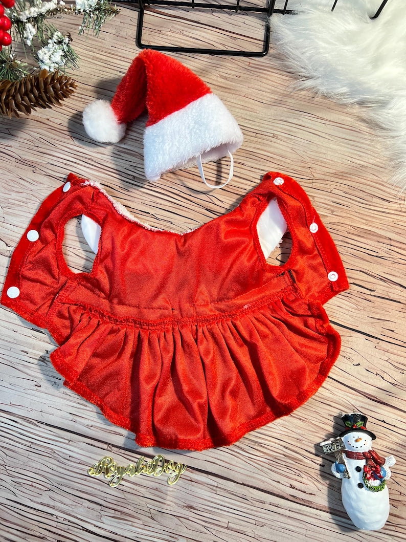 Festive Dog Dress with Santa Hat for Christmas, Dress for pets, Christmas dress for dog, Christmas dog outfit, cute dog costume, pet outfit