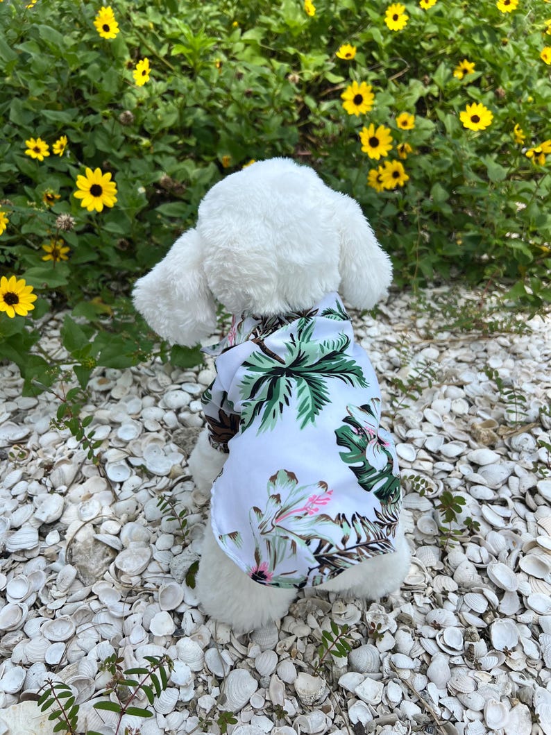 Dog Beachwear Combo, Hawaiian Dog Shirt with sunglasses ,Tropical Pet Outfit for Summer, Beach Days & Photoshoots