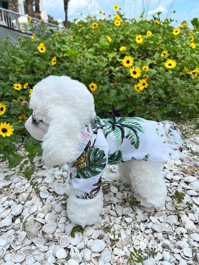 Dog Beachwear Combo, Hawaiian Dog Shirt with sunglasses ,Tropical Pet Outfit for Summer, Beach Days & Photoshoots