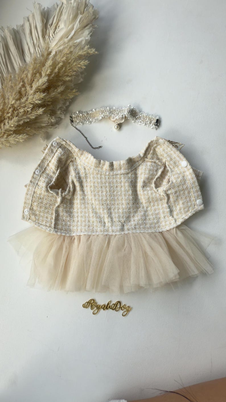 Tulle & Lace Dog Dress: Satin Bow, Matching Choker