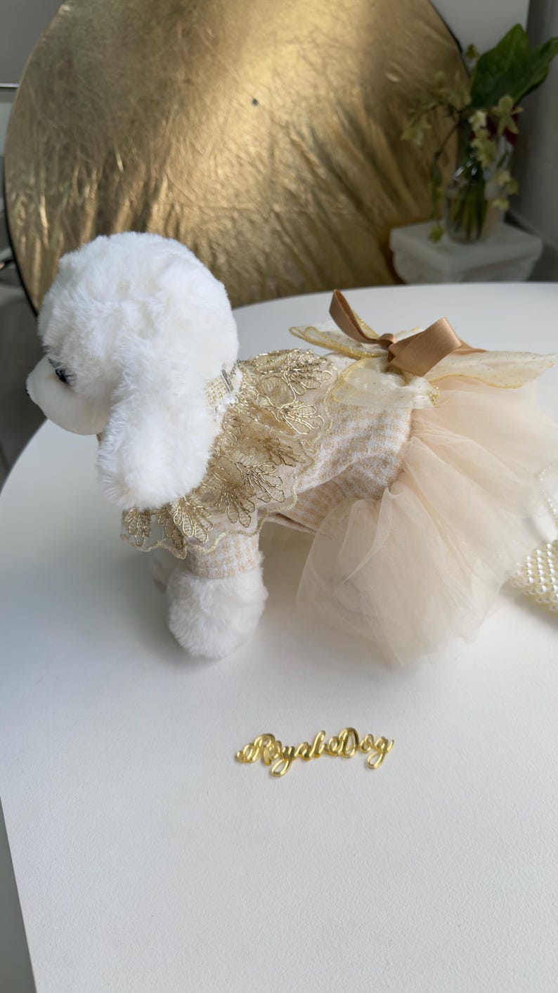 Elegant Dog Dress for Yorkie, Maltese, Poodle – Cream Gold Pet Wedding Outfit with Bow & Pearl Necklace, Luxury Dog Dress, dog outfit