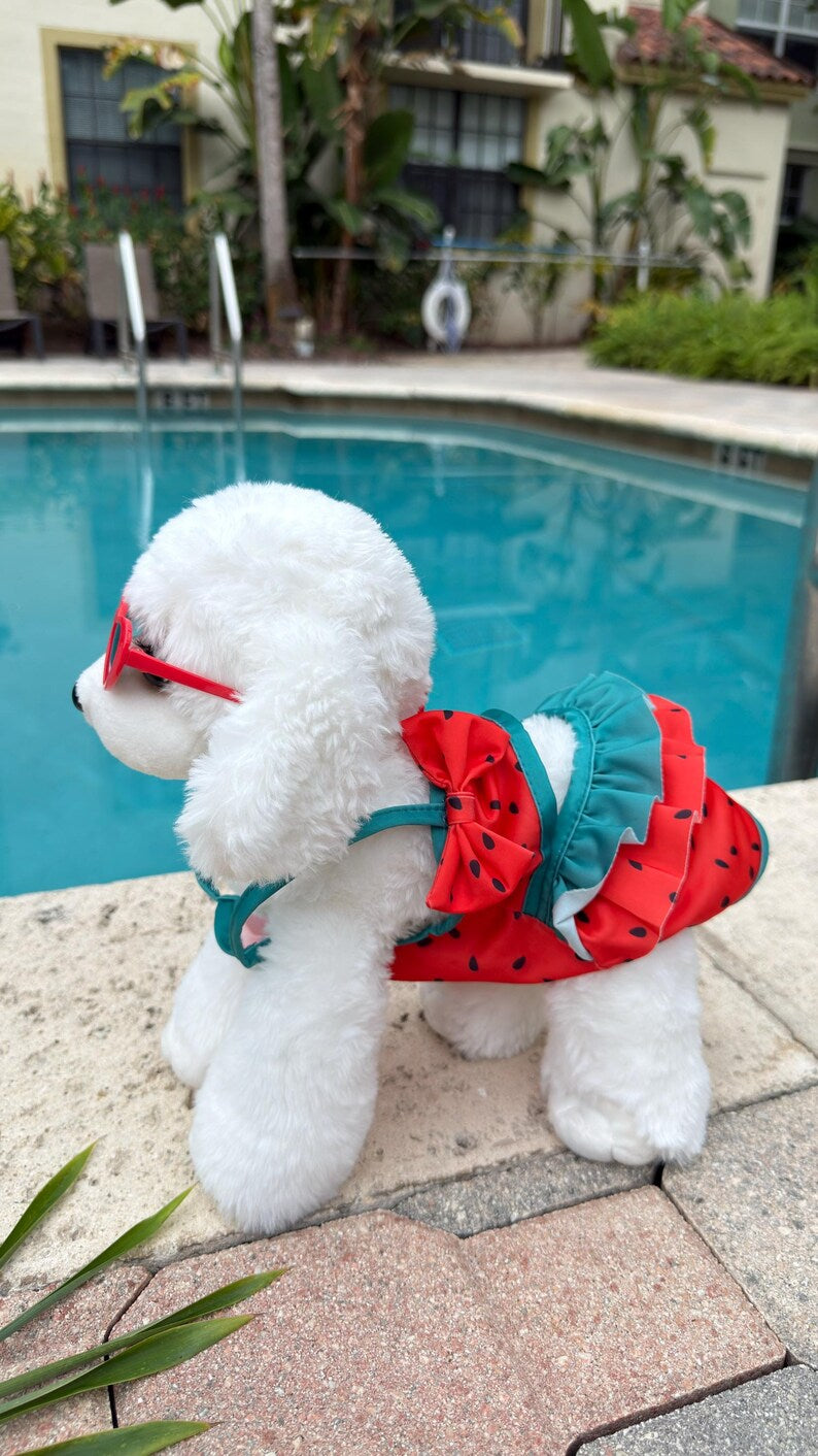 Watermelon Dog Swimsuit Dress with Sunglasses: Summer Pool Party Outfit